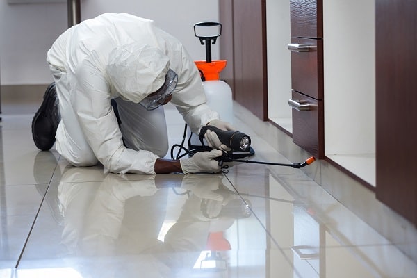 Commercial Pest Control - Termite Technology