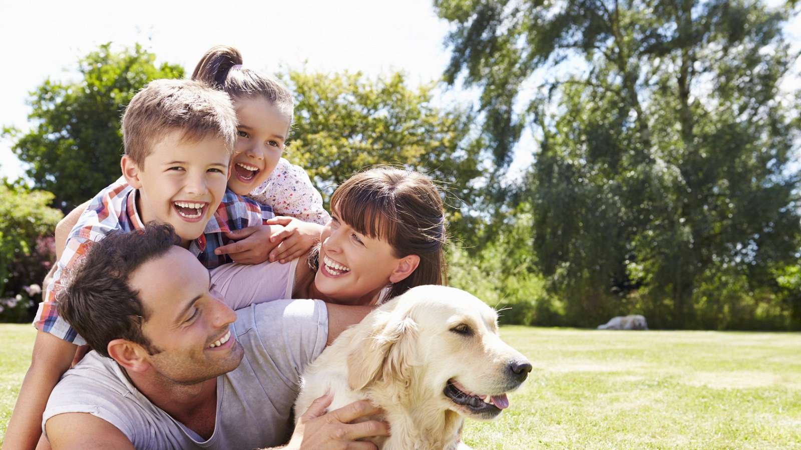 Termite Technology Pest Control