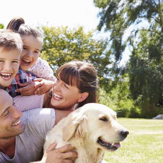Termite Technology Pest Control